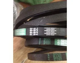 Cơ Sở Đại Trường