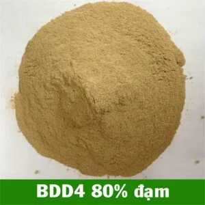 23 Bdd41