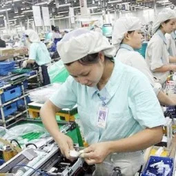 Công Ty TNHH Minh Việt