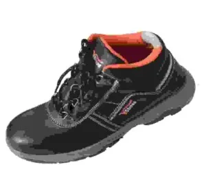 Công Ty TNHH Thương Mại Và Kỹ Thuật Bảo Bình