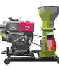 Công Ty TNHH Dịch Vụ Sản Xuất Thương Mại XNK Bình Minh