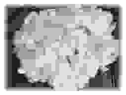 3d20sd