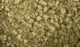 Robert & Partners International Limited