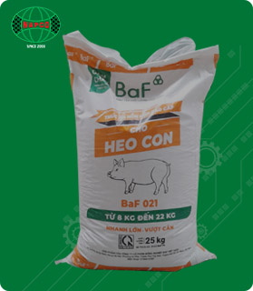 Bao Jumbo NAPCO – Công Ty CP Bao Bì Nghệ An