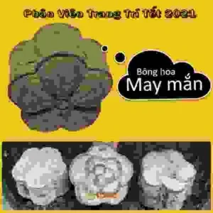 Công Ty CP Trùn Quế Củ Chi