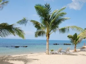 Công Ty TNHH TM DV Du Lịch Phú Quốc Xanh