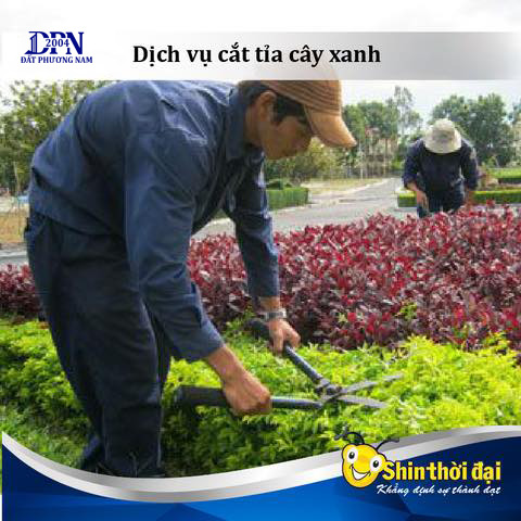 Công Ty TNHH Dịch Vụ Đất Phương Nam