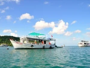 Công Ty TNHH TM DV Du Lịch Phú Quốc Xanh