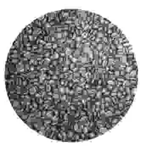 Công Ty TNHH VIET HAUS