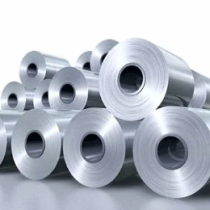 Cuon20inox20201