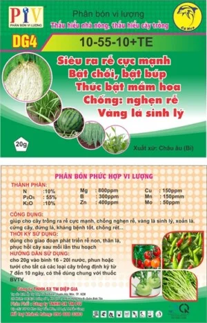 Công Ty TNHH Một Thành Viên Sản Xuất Và Thương Mại PIV