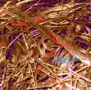 Phế Liệu Quang Phát – Công Ty Môi Trường Quang Phát