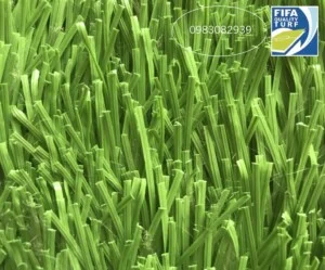 Công Ty TNHH LIMONTA