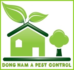 Logo-1