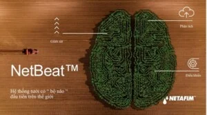 Hệ Thống Tưới Nông Nghiệp Khang Thịnh – Công Ty Cổ Phần Công Nghệ Tưới Khang Thịnh