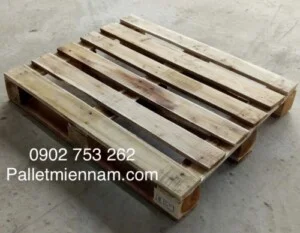 Công Ty TNHH MTV Quang Tiền Giang