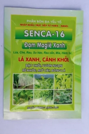 Công Ty Cổ Phần Senca