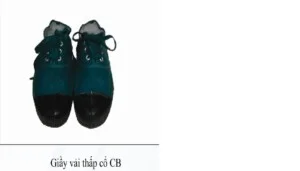 Công Ty Cổ Phần Băng Tải Xích Công Nghiệp Việt Phát