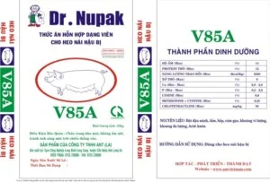 Công Ty Trách Nhiệm Hữu Hạn ANT (LA)