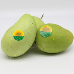 Công Ty CP AMEII Việt Nam