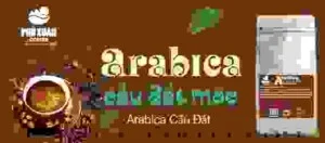 Arabica20cau20dat20rang20moc