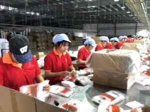 Nhân Lực Đại Dương – Công Ty TNHH Cung ứng Nguồn Nhân Lực Đại Dương