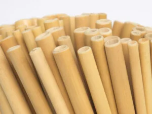 Bamboo Straw 4 450×338 2