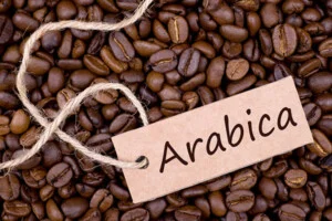 Ca Phe Arabica