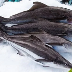 Công Ty CP Bảo Nguyên Food And Event