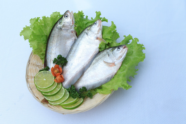 Cá Tra Green Sea – Công Ty TNHH Xuất Nhập Khẩu Green Sea