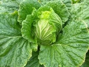 Công Ty TNHH Tuấn Long QN