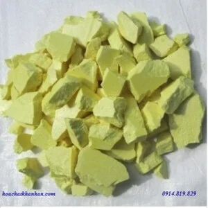 Cao Su Đồng Tâm Tech Việt Nam – Công Ty Cổ Phần Đồng Tâm Tech Việt Nam