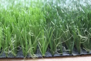 Công Ty TNHH LIMONTA