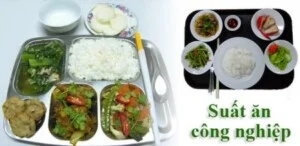 Công ty TNHH Thương Mại Dịch Vụ Phú Thiên Đỉnh