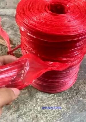 Dây Nilon Phương Phương Trang – Công Ty TNHH Một Thành Viên Phương Phương Trang