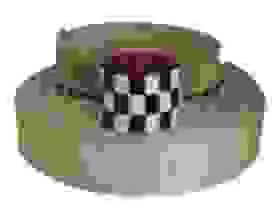 Day20dai20poly