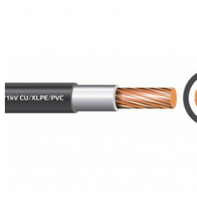 Công Ty Cổ Phần Đông Giang