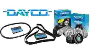 Công Ty TNHH Đầu Tư Liên Hiệp SAV