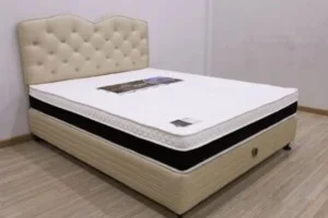 Công Ty TNHH Chu My