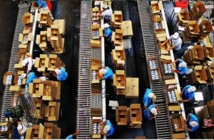 Cung ứng Nhân Lực Nhân Kiệt – Công Ty TNHH Cung ứng Nhân Lực Nhân Kiệt