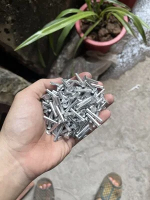 Cơ Sở Đinh Tán Hoa Tuyết