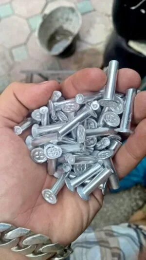 Cơ Sở Đinh Tán Hoa Tuyết