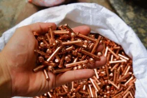 Cơ Sở Đinh Tán Hoa Tuyết