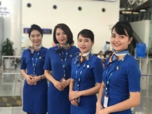 Công Ty TNHH Dũng Nguyễn