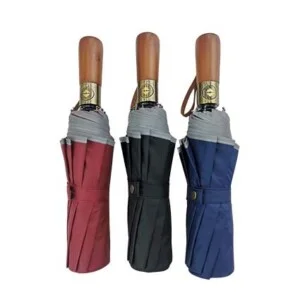 Ô Dù Cầm Tay Phương Nam – Công Ty TNHH Đầu Tư Và Phát Triển Thương Hiệu Phương Nam