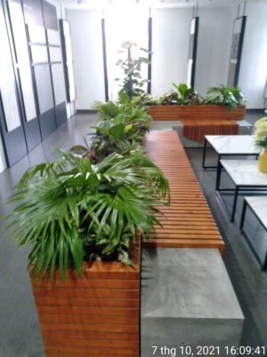 Chi Nhánh TP. Hồ Chí Minh – Công Ty TNHH Cảnh Quan Trẻ