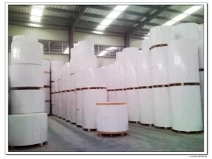 Công Ty Cổ Phần Giấy Việt Trì