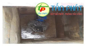 Dv20hut20be20phot201