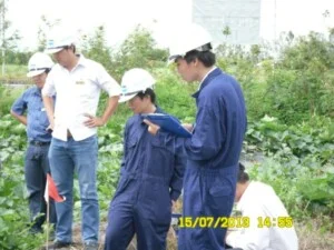 Giám Định Nam Việt – NAVICONTROL – Công Ty Cổ Phần Giám Định Nam Việt