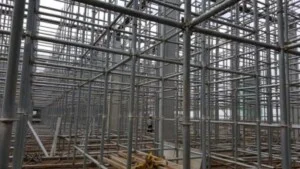 Công Ty TNHH SX Và KD Lâm Sản Thịnh Phát